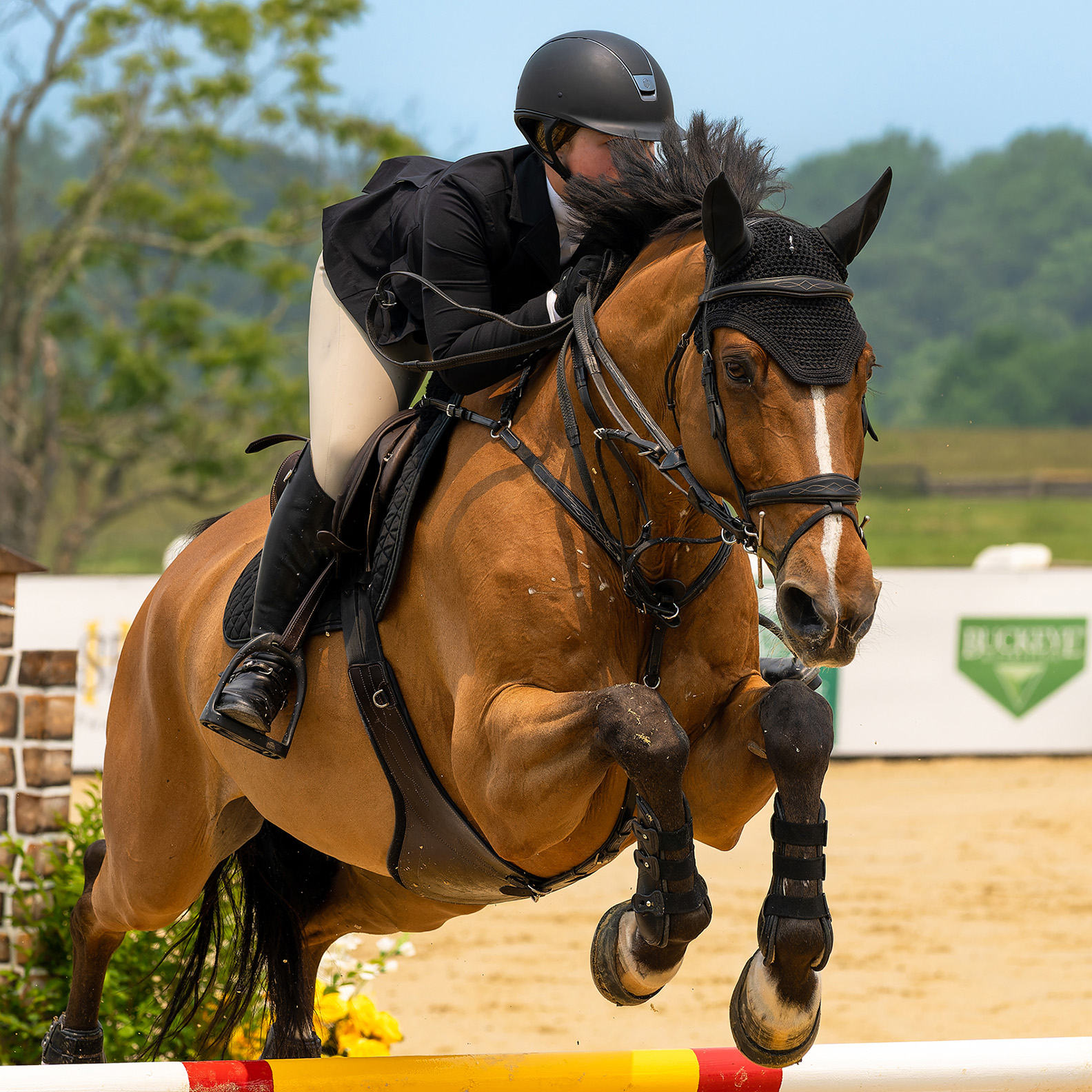 Upperville Colt and Horse Show